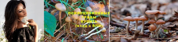 ешки Алексеевка