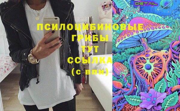 ешки Алексеевка