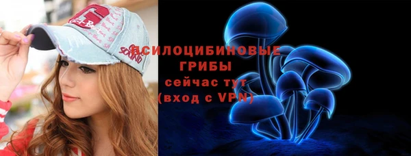 PSILOCYBIN Алзамай