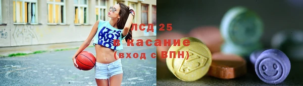 PSILOCYBIN Алзамай