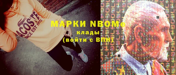 PSILOCYBIN Алзамай