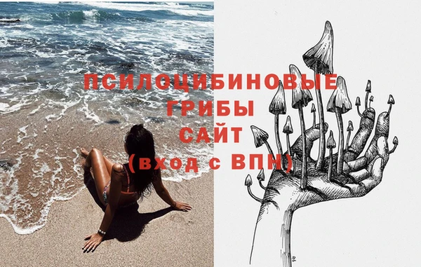 метадон Пестово